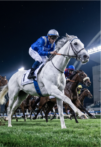 Meydan Racecourse